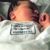 Sid Jonah Anderson